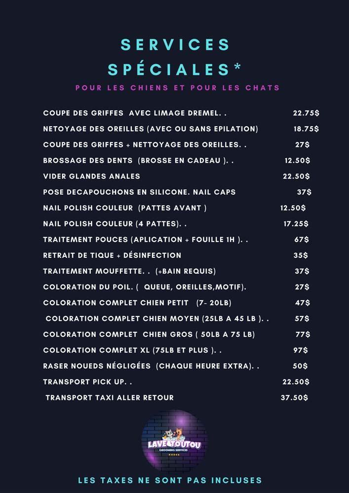 Épilation chien terrier Montréal