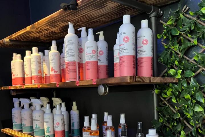 Dog and cat colouring Montreal