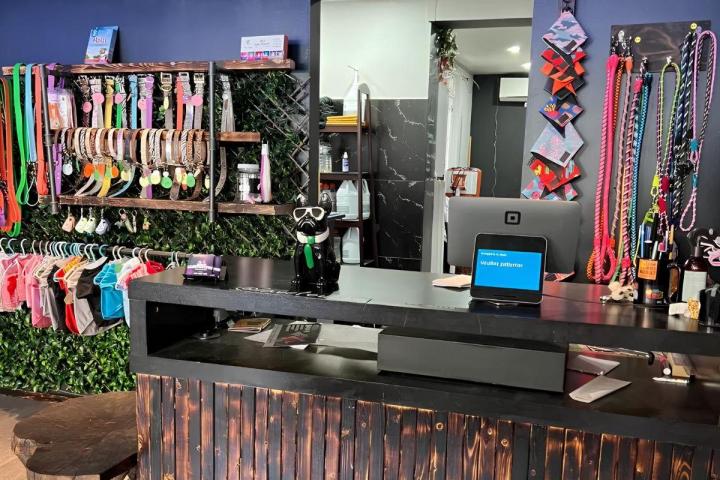 Terrier dog hair stripping Montreal