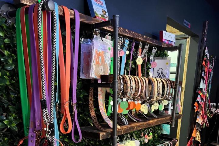 Dog and cat colouring Montreal