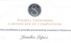 Poodle grooming certificate of completion
