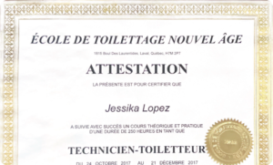 New age grooming school