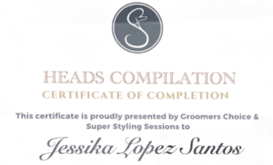 Head compilations certificate of completion